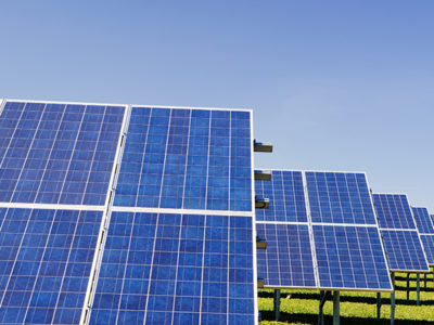 solar garden.jpg