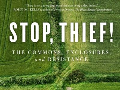 stop thief cap.JPG