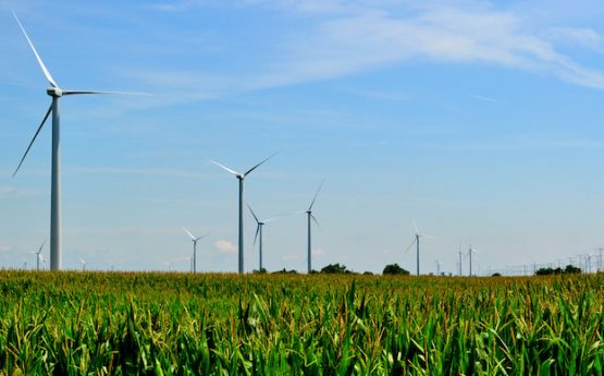 wind-mills.jpg