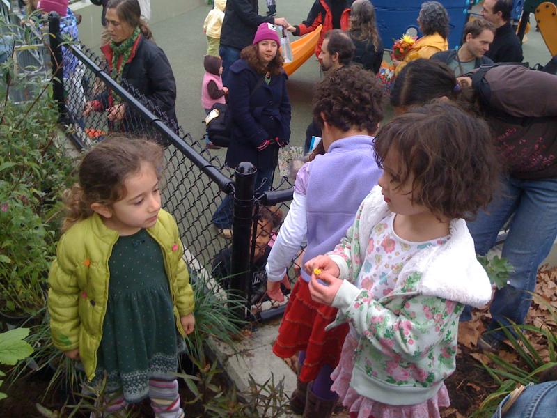 habitat garden