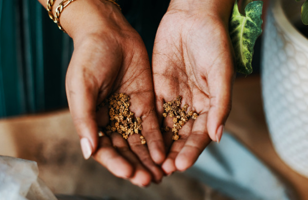 seed library