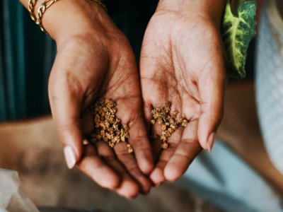seed library